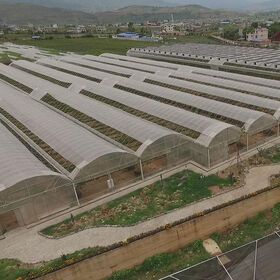 Multi span irrigation system and intelligent control system film greenhouse