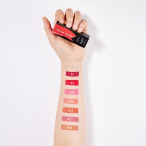 Custom Logo Red Pink Long-wearing Waterproof Natural Private Label Vegan Velvet Lipstick Matte