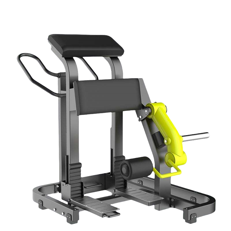 Shanghai Fengxian District Fengcheng Hospital Gym Equipment LR70R Plate Load Machine Leg Curl With Bend Tube Standing Leg Curl Gym Equipment