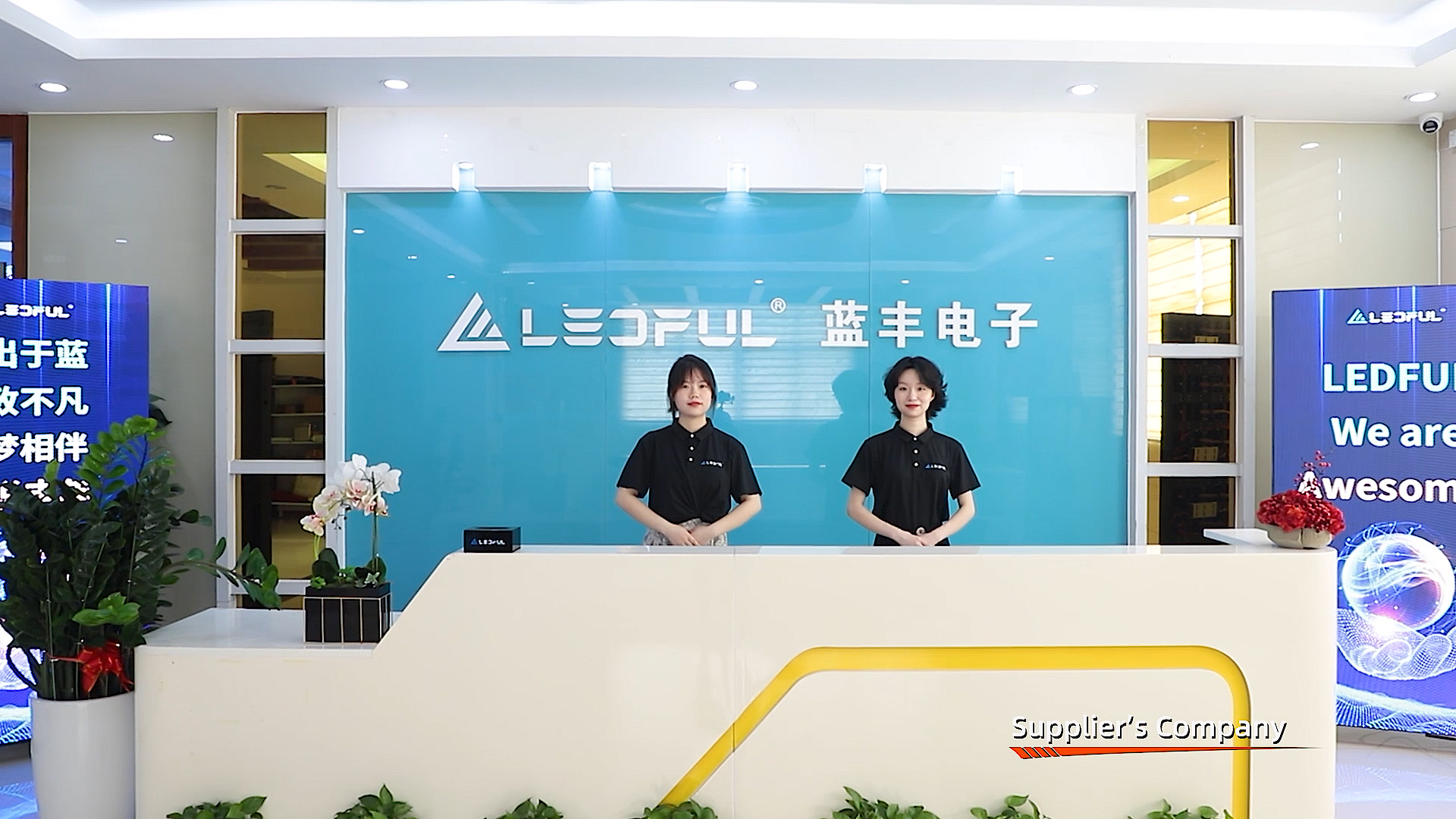 Shenzhen Ledful Electronics Co., Ltd. factory image 1