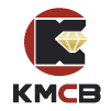 Company icon