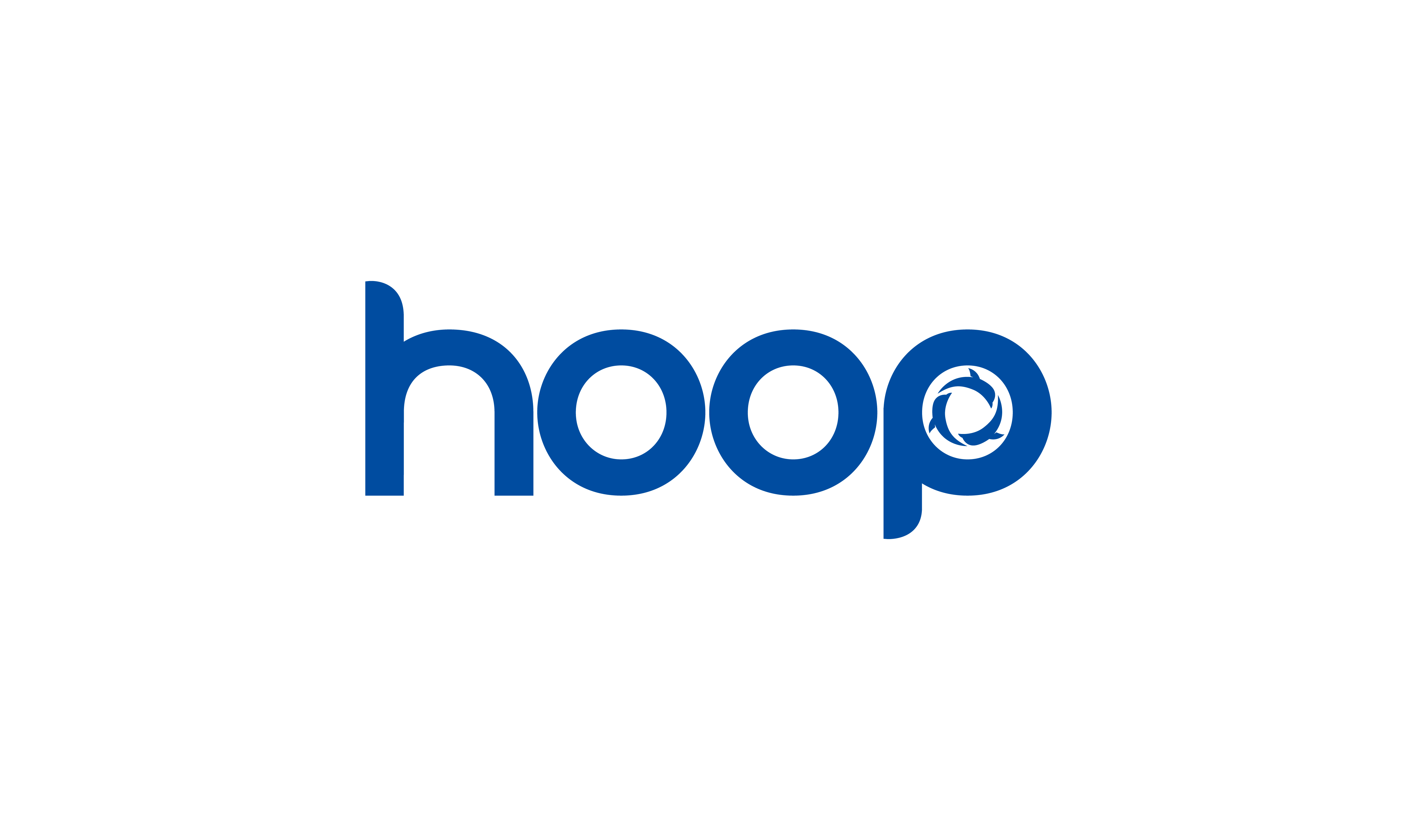 Huibu(shanghai) Industrial Co., Ltd. logo