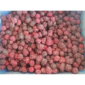 New season Frozen Blackberries IQF Blackberry fruits