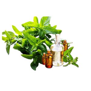Superb Quality 100% Natural and Organic Peru Curcuma Zedoaria Essential Oil with 2 Years Shelf Life
