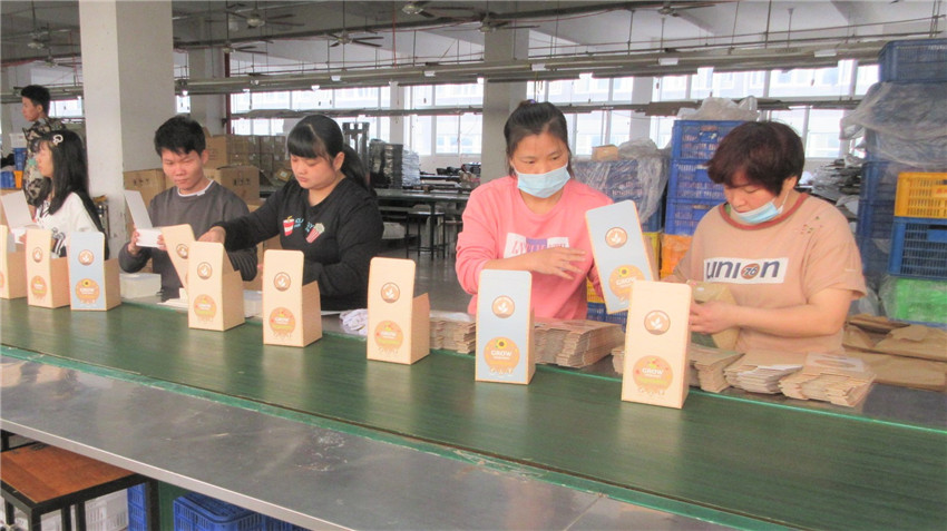 Plant Fun (Xiamen) Co., Ltd. Vegetable Garden Kit
