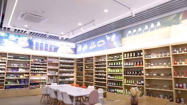 Yiwu Bolotop Electronic Technology Co., Ltd. Flashlights