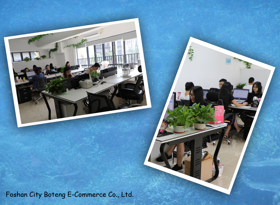 Foshan City Boteng E-Commerce Co., Ltd. Windshield