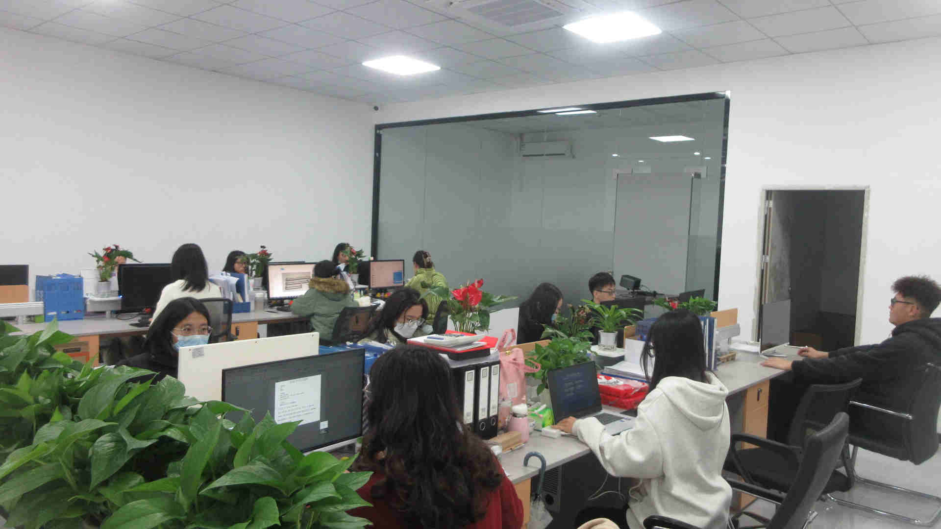 Shenzhen Sunled Lighting Co., Ltd. LED Neon Strip