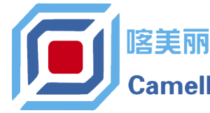 Company icon