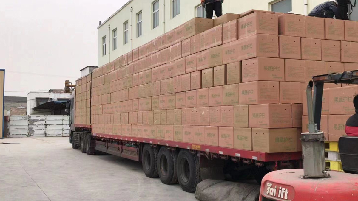 Shandong Yongxin Packaging Group Co., Ltd. Mesh Bags