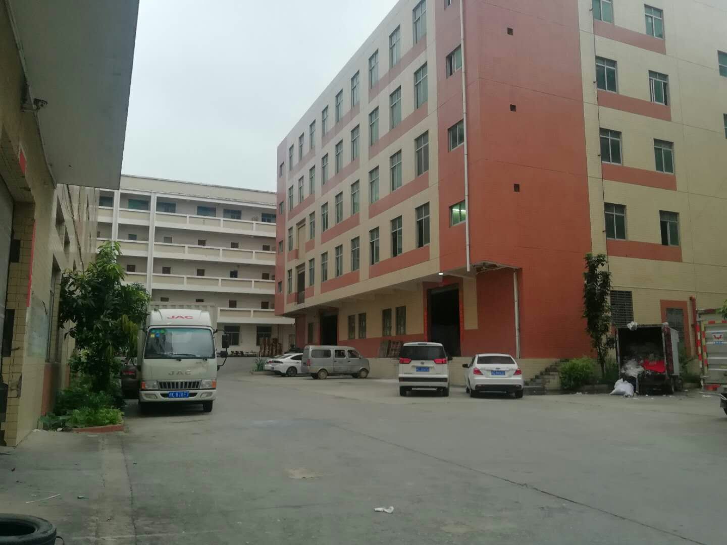 Quanzhou Ifan Shoes & Cloth Co., Ltd. Desert Boots