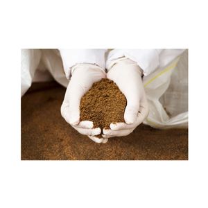 Sale Meat And Bone Meal 55% Protein Animal Feed Meat Bone Meal 50% Feed Additive