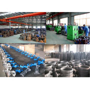 Hebei Leading Metals & Piping Industries Co., Ltd. Pipe Fittings