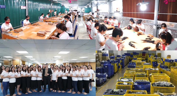 Ivirgo Investment And Commerce Joint Stock Company Weave Hair Extensions