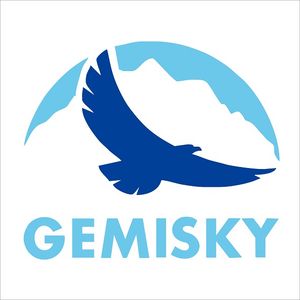 Company icon