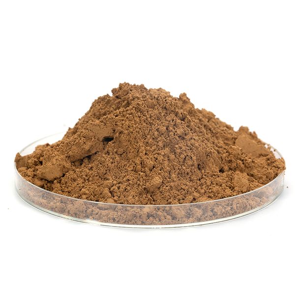 Wholesale Bulk Customization Healthy Reishi Mushroom Extract Reishi Ganoderma Lucidum