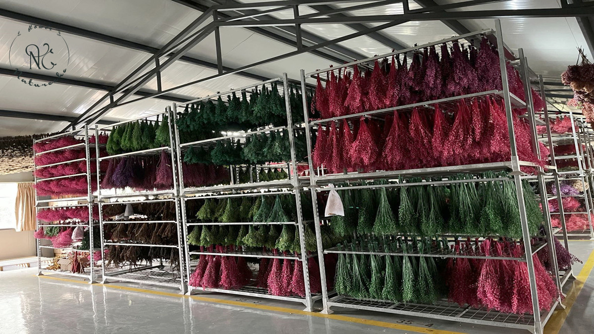 Yunnan Jiarendumei Trading Co., Ltd. factory image 2