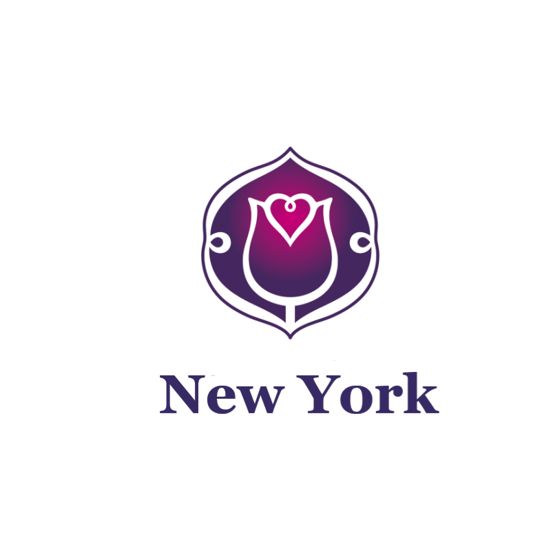 Shenzhen New Yorktechnology Co., Ltd. logo