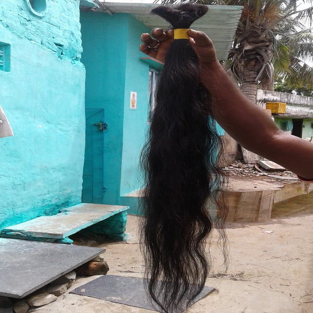 RAIN EXPORTS Temple Virgin Human Hair