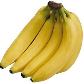 Indian fresh Yellow Banana from the Indian Suppliers and Manufacturing in a premium quality at best price