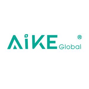 Company icon
