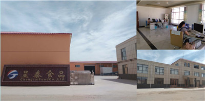 Inner Mongolia Chengtai Food Co., Ltd. factory image 1