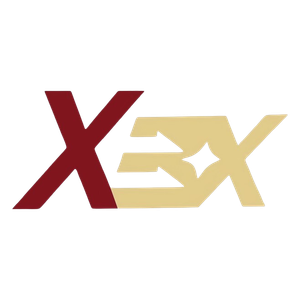 Company icon