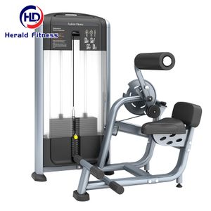 Premium Quality Strength Training Weight Selectorized Gym Equipment Dual Function Waist And Abdomen Trainer For Bodybuilding