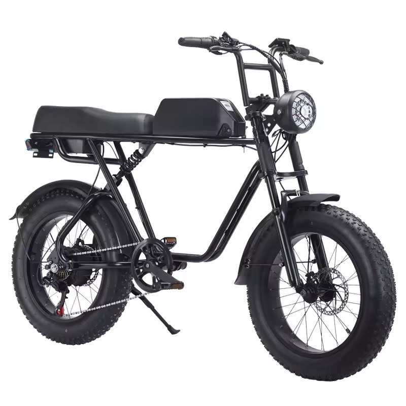 Tianjin Ruisen Import And Export Trading Co., Ltd. 20-inch Mountain Transmission E Bike 250W Motor Disc Brake off-Road Electric bicycle 48v 10ah long range Dirt Electric Bike