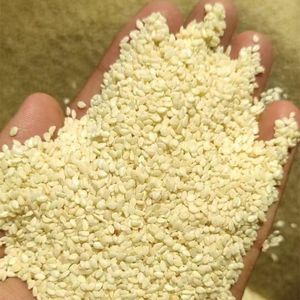 HULLED SESAME SEEDS FOR BAKERY INDUSTRY