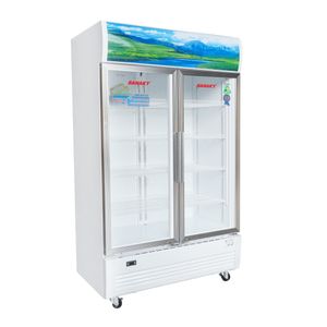 SANAKY 2 doors Low-E glass Inverter technology saving energy  display cooler