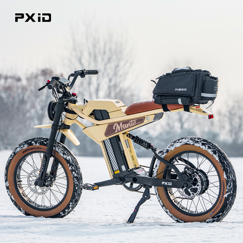 Huaian PX Intelligent Manufacturing Co., Ltd. Wholesale PXID MANTIS P6 best popular 750w 1000w electric bicycles 48v 20ah 35ah long range electric bike men