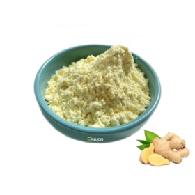 Herbal Supplement Ciyuan Factory Wholesale Price Organic Water Soluble Ginger Zingiber Officinale  Root Extract Powder