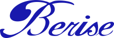 Hunan Baoruishi Technology Co., Ltd. logo