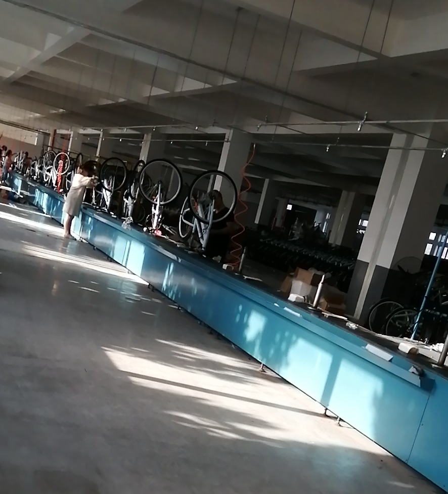 Jiangsu Anlochi Vehicle Co., Ltd. Electric mountain bike