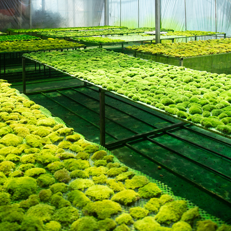 Yunnan Zante Trading Co., Ltd. factory image 2