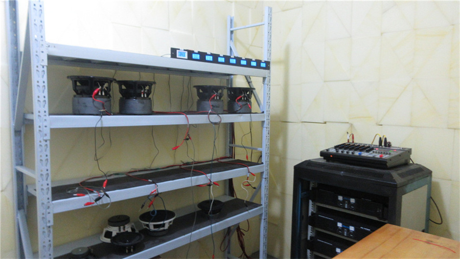 Hangzhou Grandix Electronics Co., Ltd. Subwoofer