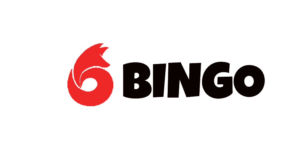 Dongguan Bingo Technology Ltd. logo