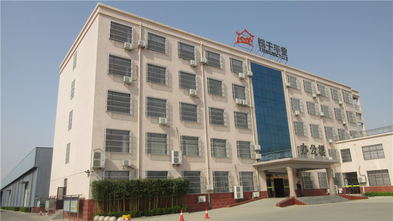 Hebei Tieniu Bicycle Industry Co., Ltd Kids Balance Bike