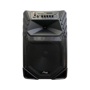 Jingle model speaker Outdoor Speaker Dancing TEMEISHENG Trolley 12 inch Wireless Amaz Portable BT Speaker