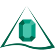 Company icon