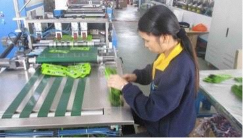 Dongguan Poly Smarts Packaging Co., Ltd. Zipper Bags