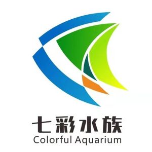 Company icon
