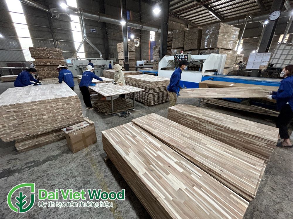Dai Viet Wood Company Limited Acacia Finger Joint Board