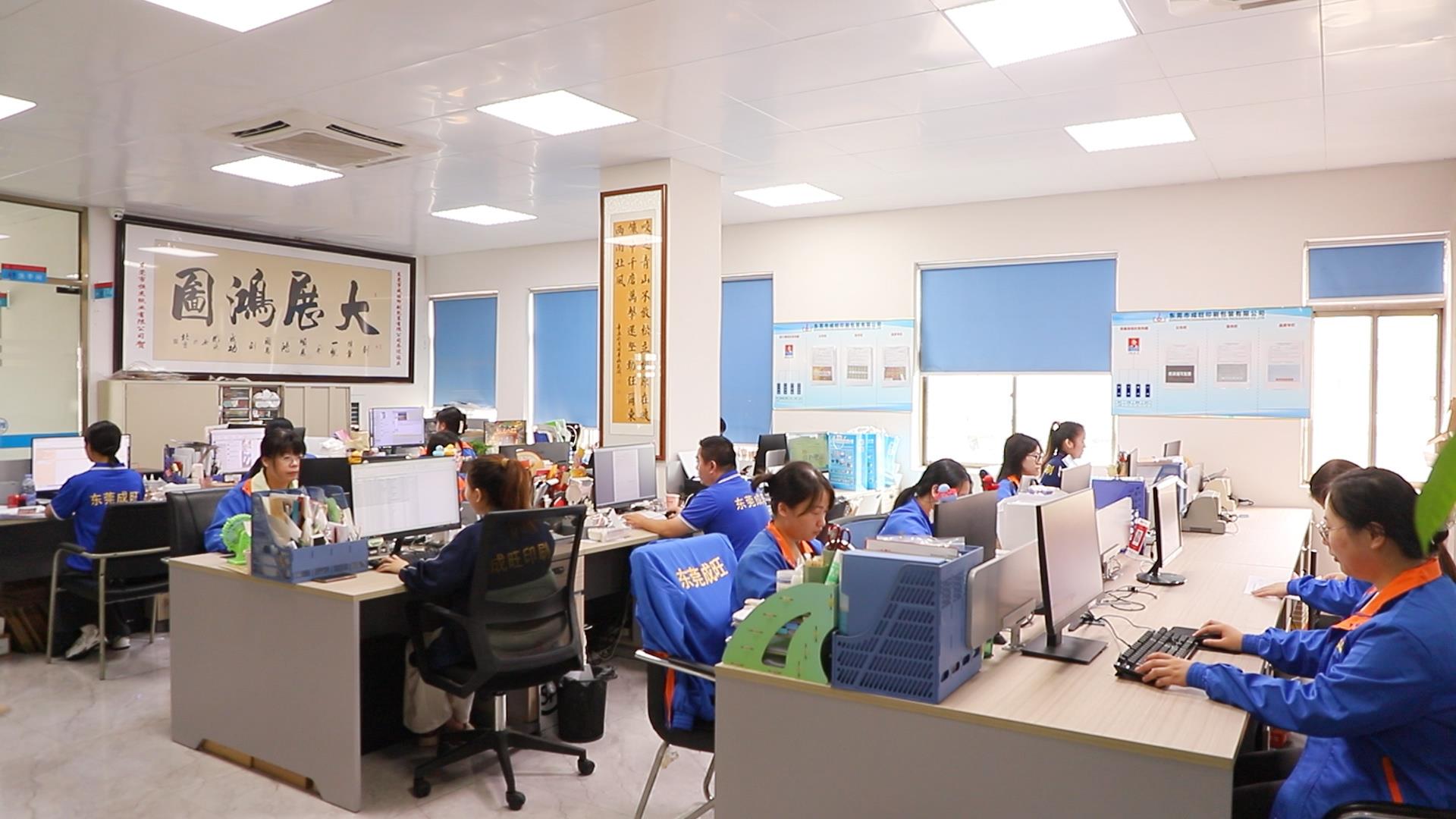 Dongguan Chengwang Printing And Packaging Co., Ltd. Instruction Manuals