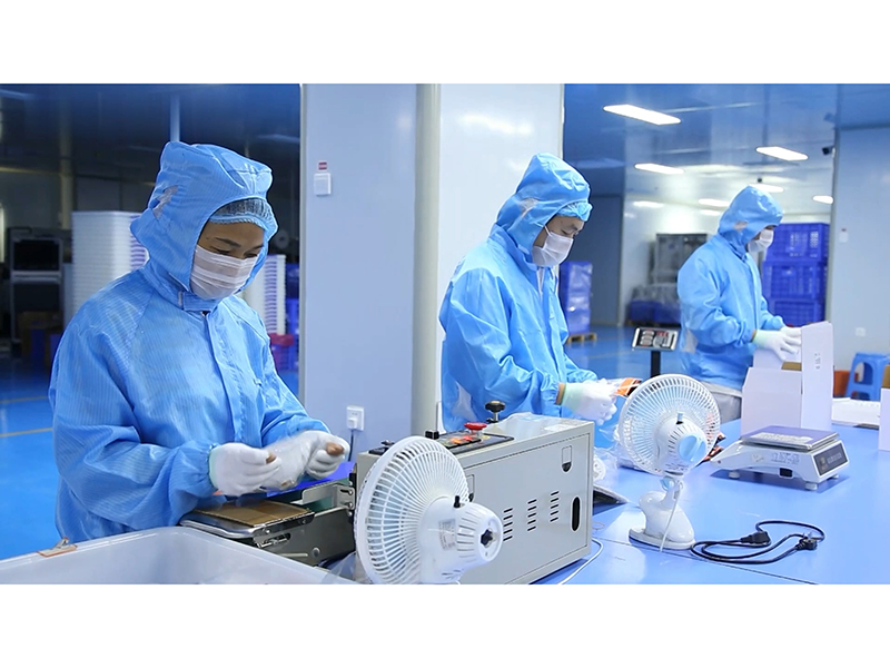 Xiamen PinzTec Co., Ltd. Disposable Protective Mask