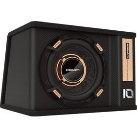 Hot Sales Multimedia 10 12 inch Sub Woofer Car Speaker System