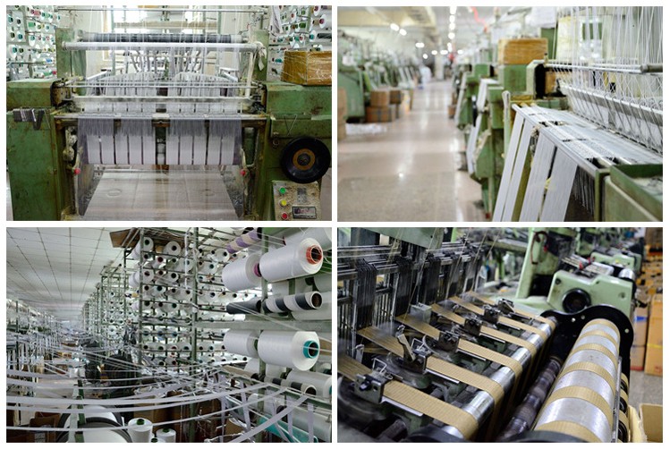 Guangzhou Eyoung Textile Co., Ltd. Elastic Band