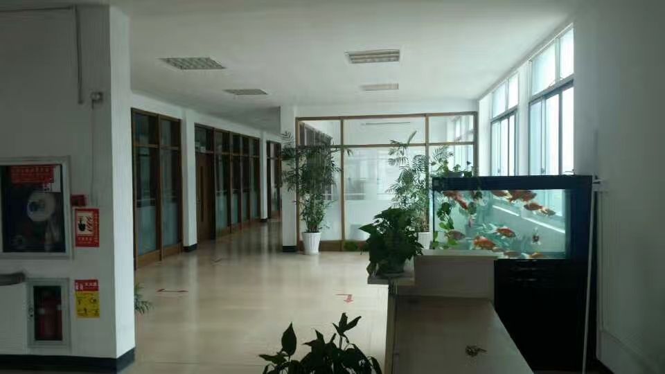 Shengzhou Xinyue Christmas Gifts Co., Ltd. LED Christmas Light