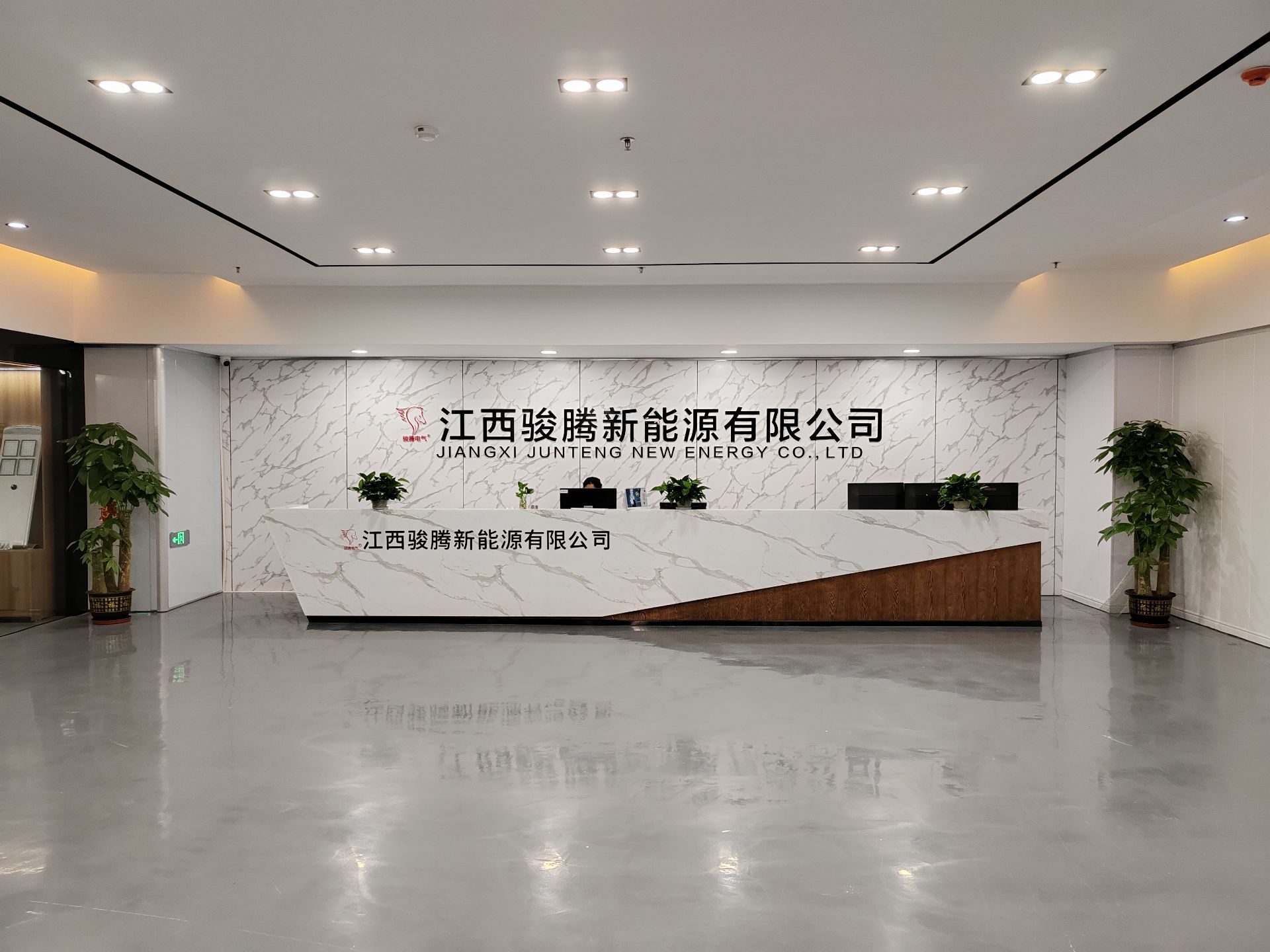 Jiangxi Junteng New Energy Co., Ltd. Automatic Dog Ball Launcher